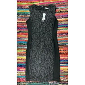 NWT  NY&C Women’s Dress XS Sleeveless Career Gray Front Black